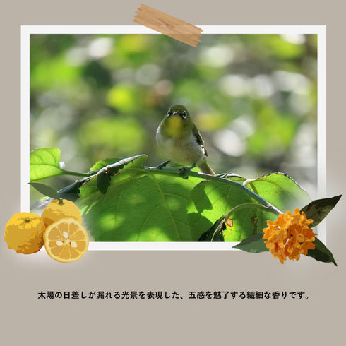 FRAMA Komorebi Scented Candle 60g